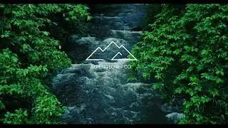 8 Hour Relax | Rushing Hawaiian River through Rainforest 4K | Study Sleep Meditate Focus ASMR