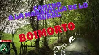 Boimorto, un lugar en la campi&ntilde;a gallega.