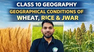 Class10geography geographical condition of wheat rice and jwar 👑🤔🤔😎😎😎