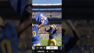 Hail 2 Pitt 🏈🔒#collegefootball25 #h2p #collegefootball #celly #defense