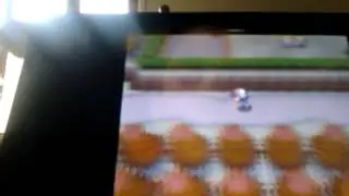 Pokemon bianco ep 5 spaccaroccia