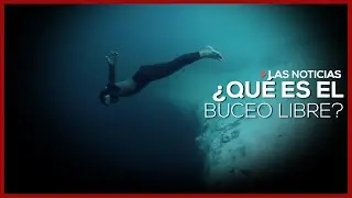 &iquest;Qu&eacute; es el free diving o buceo libre?