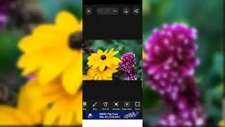 Kelas Master Pengeditan Warna Potret HDR Photoshop | Tampilan 4K Canon R5🔥#n925k#969