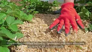 Piliny &ndash; vedlej&scaron;&iacute; produkt, kter&yacute; m&aacute; hodnotu | Petr Deutscher