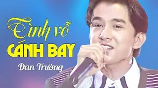 Đan Trường - TÌNH VỖ CÁNH BAY | Official Music Video
