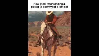 How I feel after reading a poster (a bounty) of a lost cat #shorts #memes