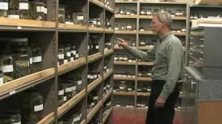Understanding, preserving Colorado Plateau's biological heritage