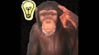 Tengo una idea💡