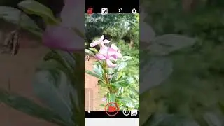 Jio phone Next Camera Test || jio phone me  camera test