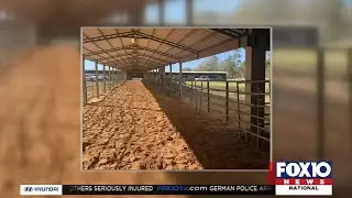 Barrel racing accident kills 1 in Okaloosa County