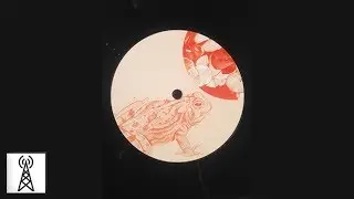 Jay Shepheard - Bullfrogging