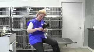 Oster&reg; Gentle Paws