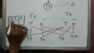 Monohybrid and dihybrid cross, phenotypic ratio, genotypic ratio,