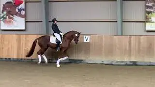 35DT indsyning: Vitalos