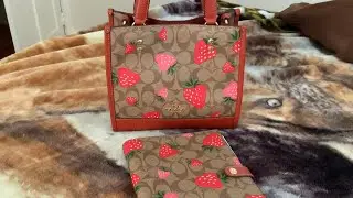 Coach Dempsey 22 tote l mini review | whispers | WIMB