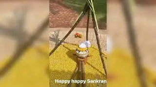 Mega Family Sankranthi 2024 Celebrations