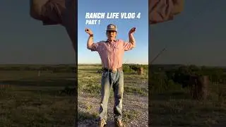 Видеоблог о жизни на ранчо! (Часть 1) 🤠