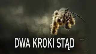 Dwa kroki stąd.