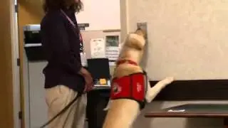 HeroDogs PSA90 v5