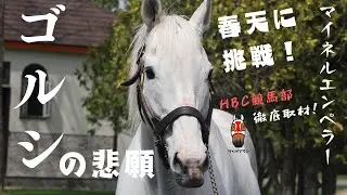 【天皇賞春　直前】マイネルエンペラー　牧場リポート！2歳時の映像に、最新ゴールドシップも！