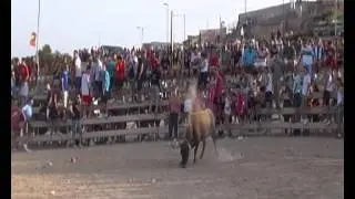 recortadores pe&ntilde;a xipi xiu - una de las cogidas de pinoso de mucha risaaaa