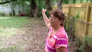 Widow says landlord won't remove fallen trees