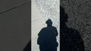 Aug 14 must see Denver Colorado police snitch stalking me dye 🐖
