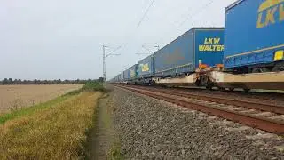 9. Oktober 2023 Deutscher Elektrolokomotivbetreiber mit containerwaggon