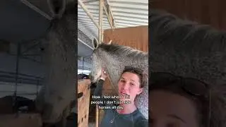 Working Student Life #fyp #horses #horseriding #workingstudent #equestrian