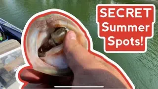 Summer Bass Fishing Tips