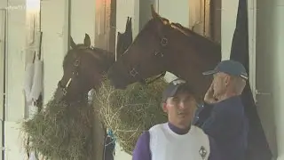 27 charged in horse racing doping scheme