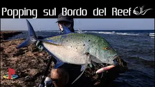 MY FAVORITE FISHING! Hunting Big Trevally on the edge of the reef !
