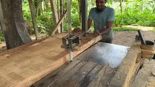 Tree Cutting Safety Gear: What You Should Wear