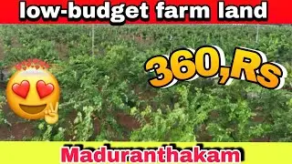 Acharapakkam farm land for sale in Maduranthakam Property sale in Acharapakkam #Maduranthakam