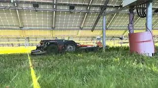 Raymo - vegetation management at solar farms