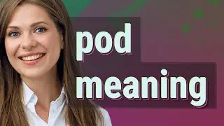 Pod | meaning of Pod