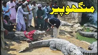 Manghopir real story of Crocodiles | History in Urdu | Karachi Pakistan | Hamza Remix Info