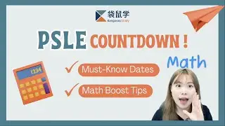 3 Months to PSLE 2025: What P6 Parents Must Know (Timeline Guide + Math Focus)