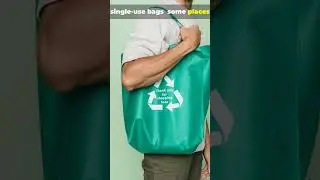 They BANNED Plastic Bags&hellip; Pollution Crashed 40%! #PlasticBan #PollutionDrop #Environment #Shorts