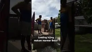 LOADING MUAT KIJING MAKAM MARMER #shorts #viralvideo #loading