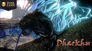 Dark and Light - обзор Dharkhu