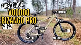 Voodoo Bizango Pro (A 12 Speed Hardcore Hardtail) Bike Check