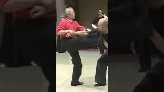 Masaaki Hatsumi - Keri & Nage  #martialarts #budo #bujutsu
