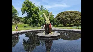Botanical Gardens : Wonderland Curious Nature   4K