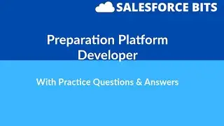 Salesforce Platform Developer 1 Certification Practice Questions
