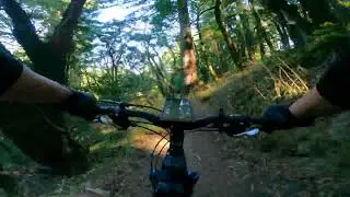 Skeggs MTB with Map & Directions - Figure 8 Loop - Resolution Trail - Redwood City, CA - 9/23/24