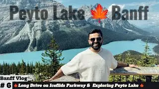 Banff Vlog # 6 - Exploring Peyto lake 2025 | Banff Travel 2025
