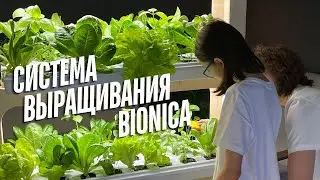 Bionica. Домашняя система выращивания от E-MODE