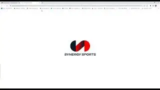 Player Tab on the New Synergy Site