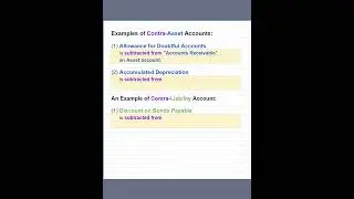 Examples of Contra-Asset and Contra-Liability Accounts 1, 101